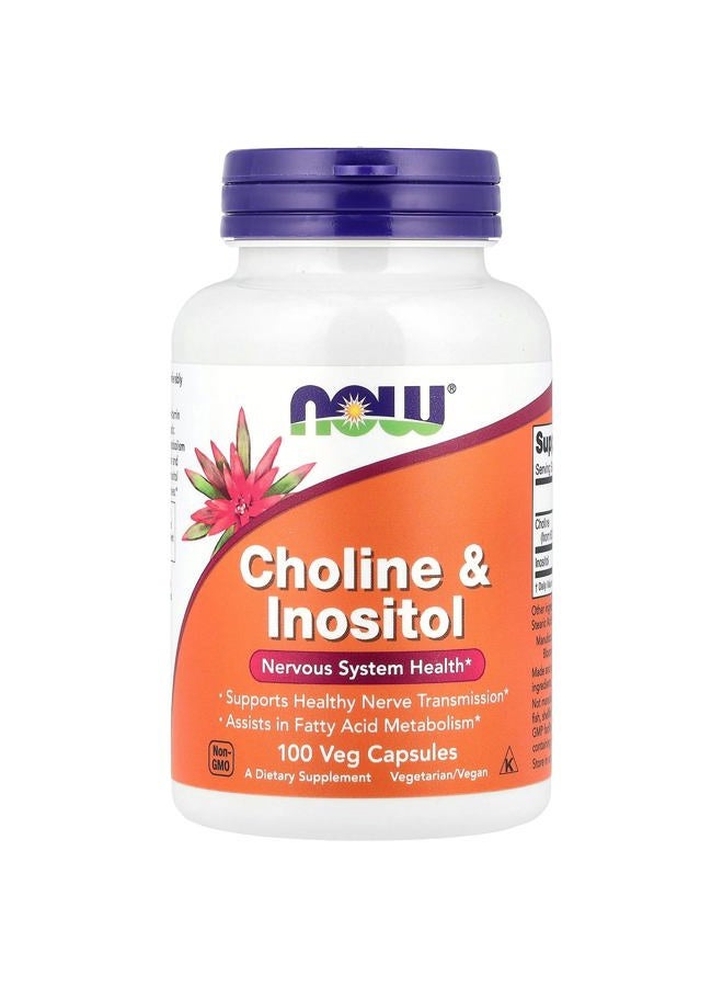 Now Foods Choline & Inositol 500 Mg - 100 Caps - Image 1