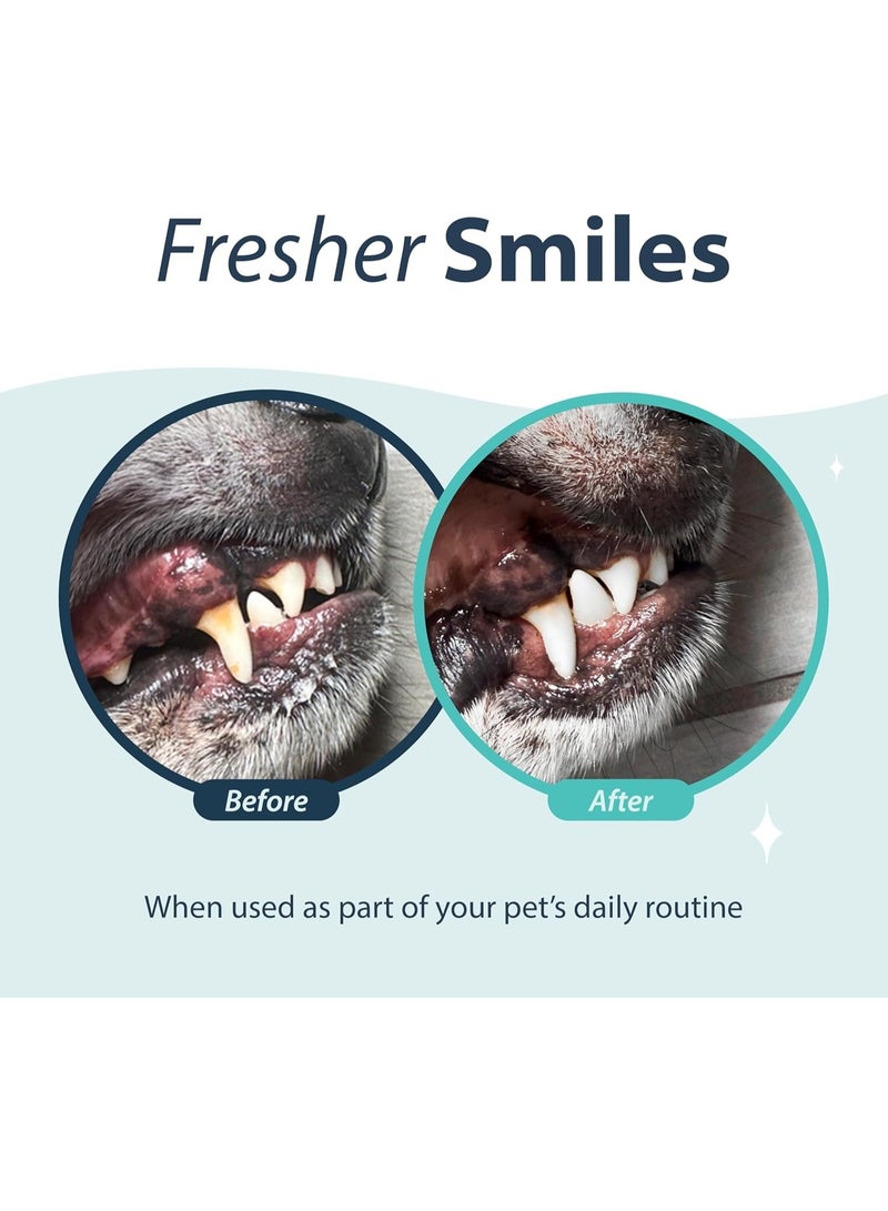 Veterinary Formula Synergy Lab Dental Fresh Spray [Volume - 118ml] - Image 5