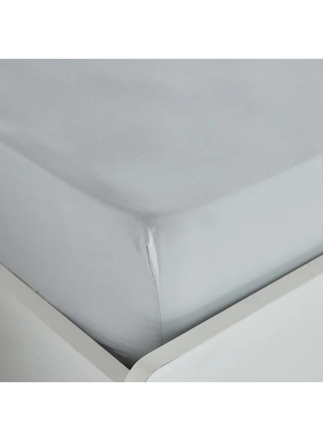 Home Box Essential Cotton Olympic Queen Fitted Sheet 160 x 200 x 36 cm