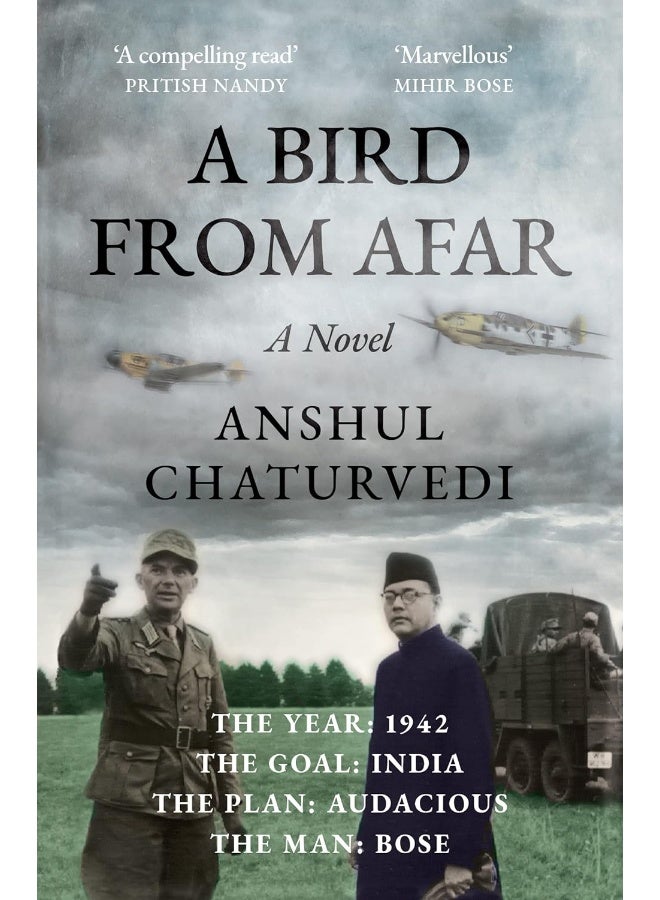 A Bird from Afar: A Novel