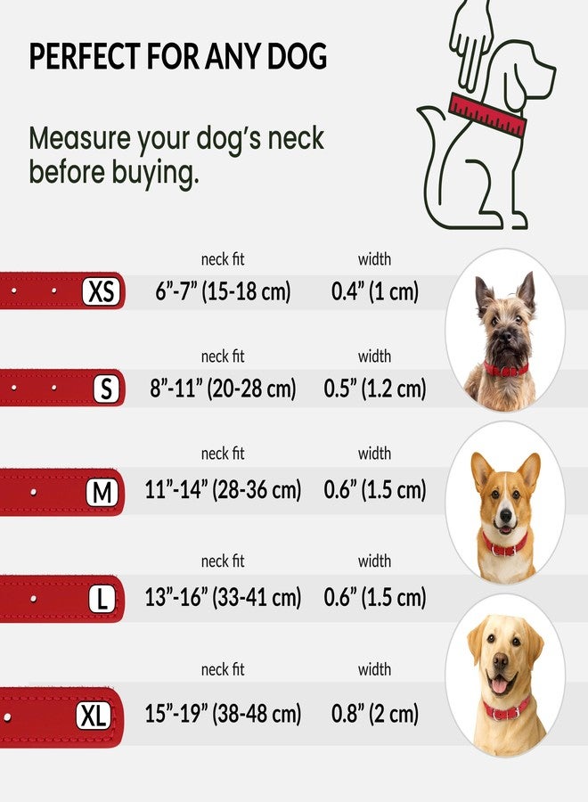 CollarDirect Reflective Rolled Leather Dog Collar, Soft Padded Round Puppy Collar, Handmade Genuine Leather Collar Dog Small Large Cat Collars 13 Colors (8-11 Inch, Red Reflective) - Image 5