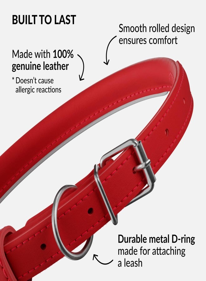 CollarDirect Reflective Rolled Leather Dog Collar, Soft Padded Round Puppy Collar, Handmade Genuine Leather Collar Dog Small Large Cat Collars 13 Colors (8-11 Inch, Red Reflective) - Image 3