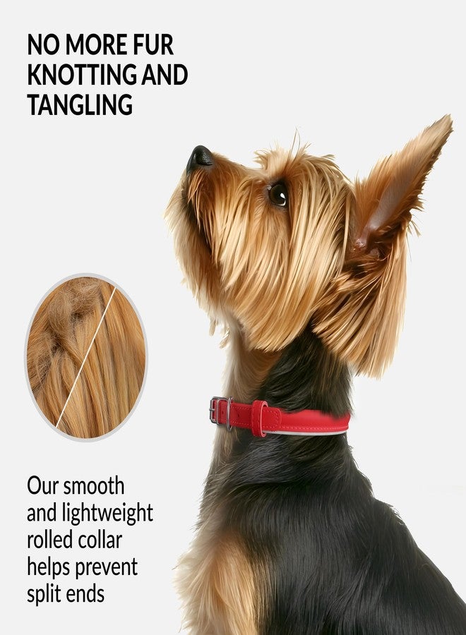 CollarDirect Reflective Rolled Leather Dog Collar, Soft Padded Round Puppy Collar, Handmade Genuine Leather Collar Dog Small Large Cat Collars 13 Colors (8-11 Inch, Red Reflective) - Image 2