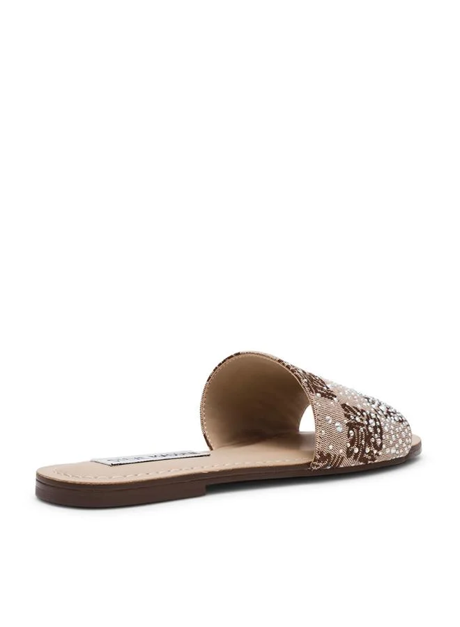 Steve Madden Zadar Brown Women's Sandals