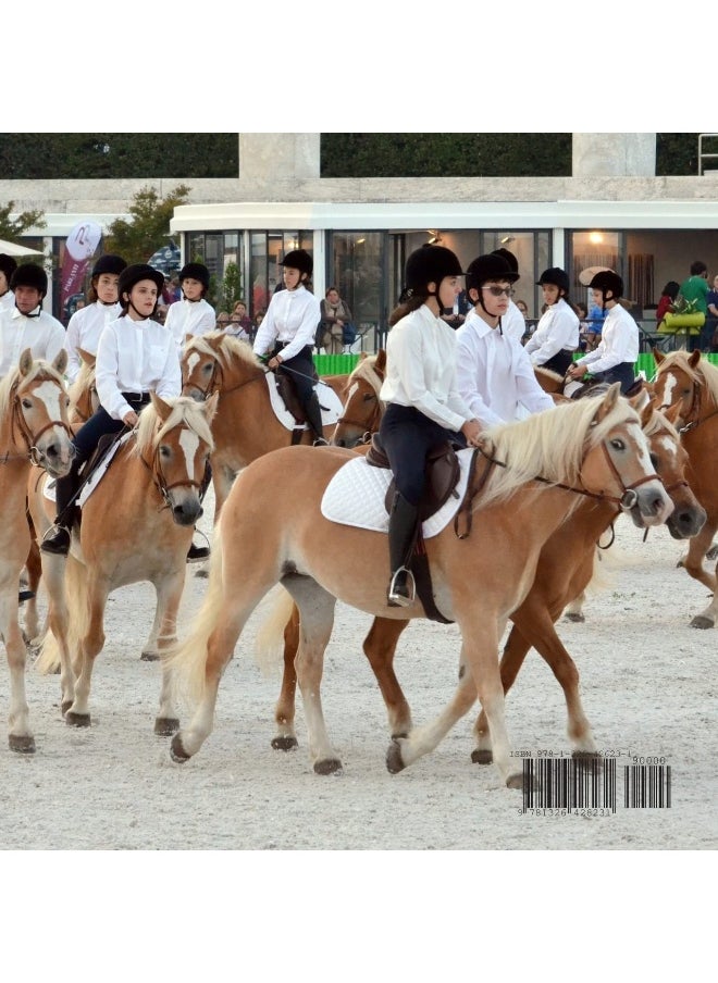 LGCT 2015: Villa Buon Respiro  - Image 2