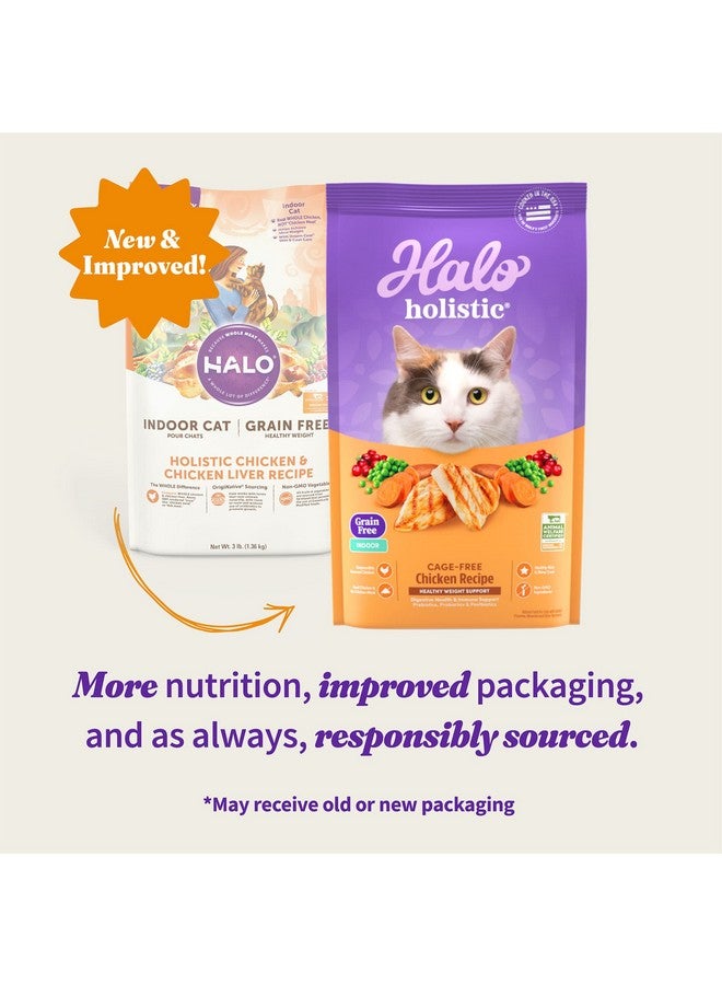 Halo Holistic Cage Free Chicken Cat Food, Grain Free Dry Cat Food, For Healthy Weight Support, Kibble for Indoor Cats, 6 lb Bag - Image 2