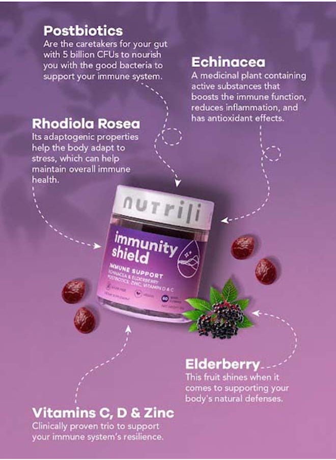 Immunity Shield Sugar Free Probiotics Gummies (150g) | Immune Support | Zinc, Vitamin D, Vitamin C, Postbiotics, Elderberry, Echinacea, and Rhodiola - 60 Gummies - pzsku/Z94CC6BA459CEC71753DEZ/45/_/1707818894/224399ec-9dbb-4fc4-ac68-04f105e6463c