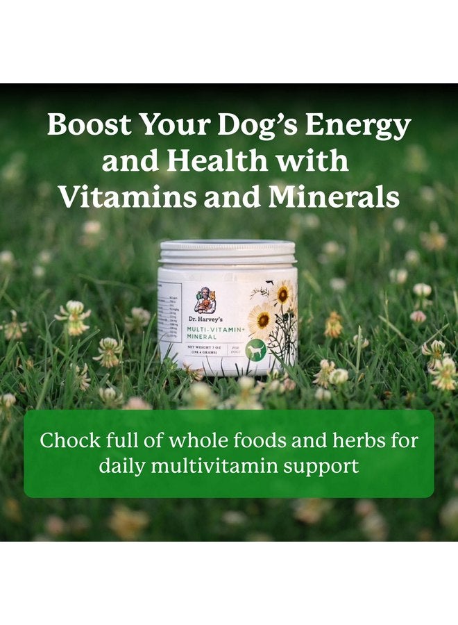 دي آر. هارفي مكمل غذائي متعدد الفيتامينات والمعادن من دكتور هارفي للكلاب (7 أونصات) - Image 2