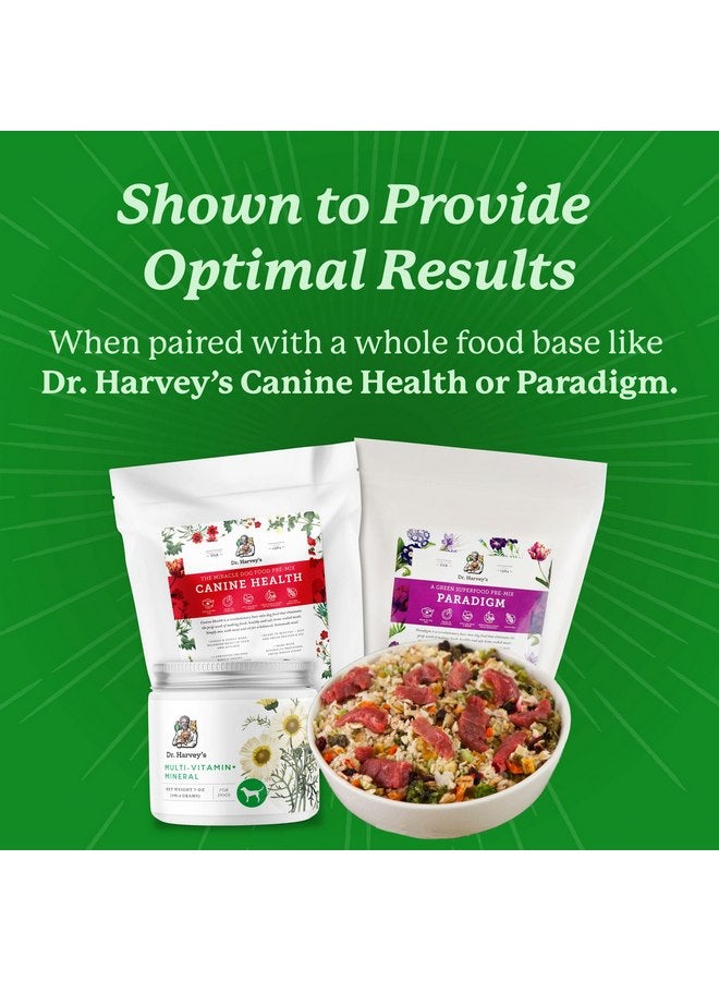 دي آر. هارفي مكمل غذائي متعدد الفيتامينات والمعادن من دكتور هارفي للكلاب (7 أونصات) - Image 3