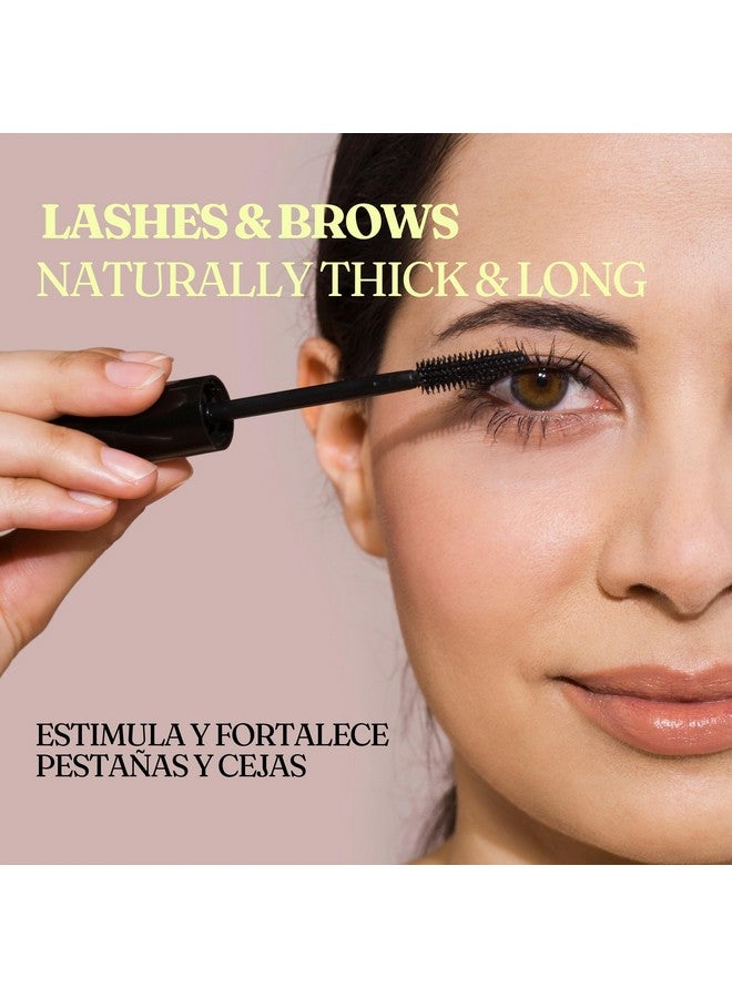 Offernova Castor Oil 16 OZ- Aceite de Ricino - Cold Pressed 100% Pure, Certified Organic, Hexane Free for Eyelashes, Eyebrows, Frizzy, Hair Growth Women and Men, Beard Growth - Image 5