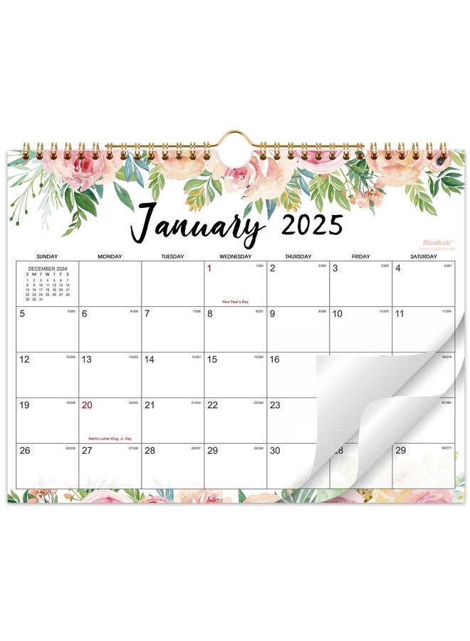 MaaIbok 2025 Calendar - Wall Calendar 2025 From Jan 2025 - Dec 2025, 11" X 8.5", Sprial Bound Wall Calendar, Writing Blocks With Julian Dates  - Image 1