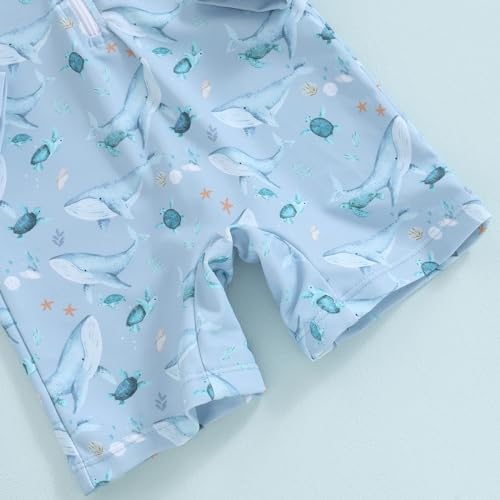 Socutebabe Toddler Infant Baby Boys Girl Swimsuit Kids Rash Guard One Piece Newborn Zipper Bathing Suit Swimwear with Hat (ww-Blue,0-3 Months) - Image 5