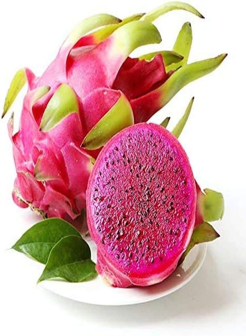 GGOOT 100pcs Pitaya Seeds Rare Perennial Dragon Fruit Seed Peculiar Appearance Strong Adaptability You Can Grow Your Own Fruit Indoors/Gardens - Image 1
