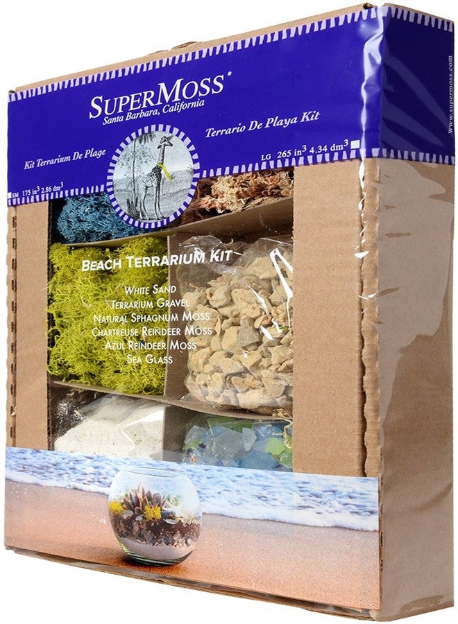 Super Moss SuperMoss (90422) Beach Terrarium DIY Kit - Create Stunning Nature-Inspired Mini Gardens - Perfect for Home Decor, Office Gifts, and Plant Lovers, Appx 4 Oz - Image 2