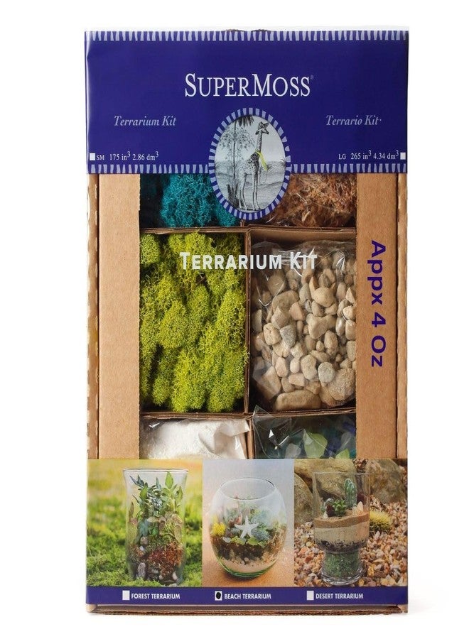 Super Moss SuperMoss (90422) Beach Terrarium DIY Kit - Create Stunning Nature-Inspired Mini Gardens - Perfect for Home Decor, Office Gifts, and Plant Lovers, Appx 4 Oz - Image 1