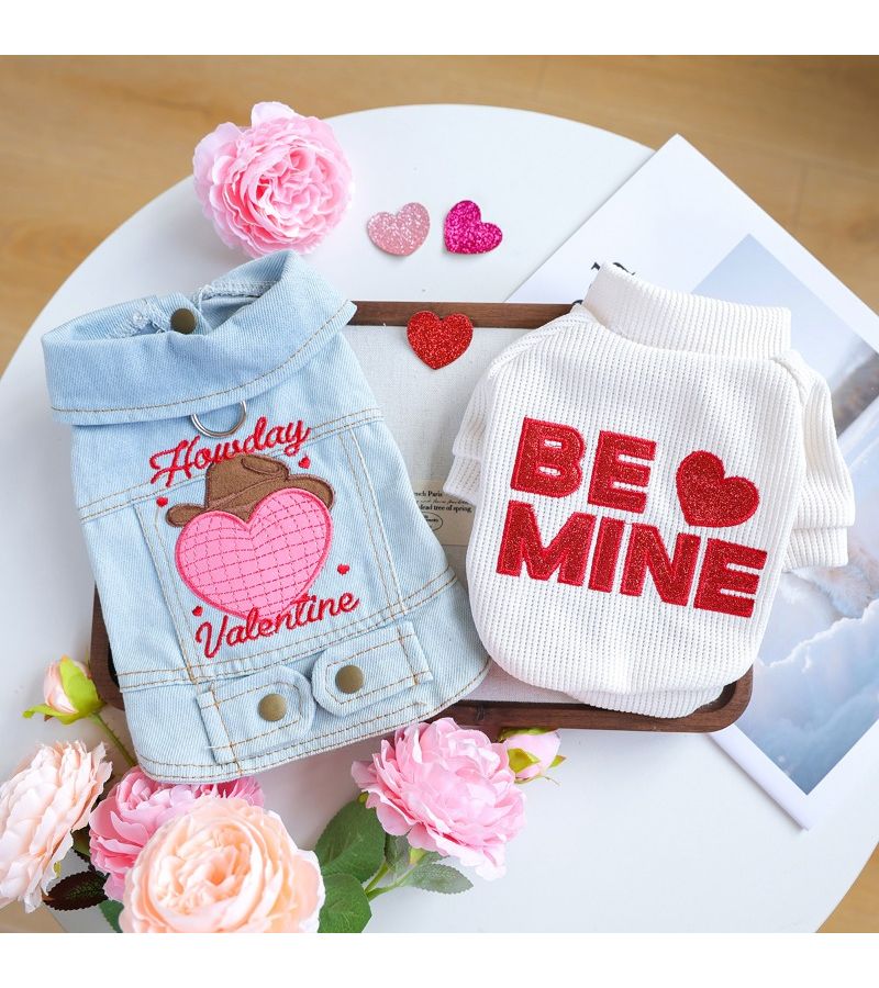 2 Piece Pet Clothing Set For Dogs And Cats Thickened Warm Pullover Sweater With White Base Red Embroidered Letters Heart Design Blue Sleeveless Large Heart Patterned Outer Jacket Leash Walking Size M - Image 1