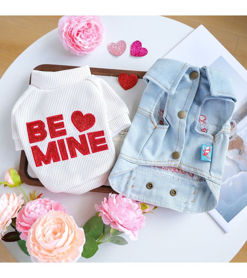 2 Piece Pet Clothing Set For Dogs And Cats Thickened Warm Pullover Sweater With White Base Red Embroidered Letters Heart Design Blue Sleeveless Large Heart Patterned Outer Jacket Leash Walking Size M - Image 4