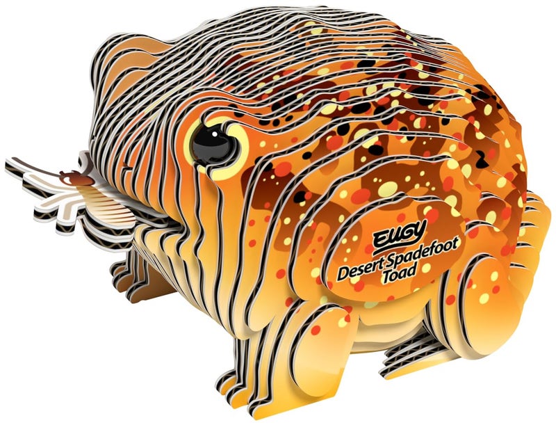 Eugy Desert Spadefoot Toad 3D Puzzle 34 Piece EcoFriendly Educational Toy Puzzle for Boys Girls Kids Ages 6 - Image 3