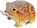 Eugy Desert Spadefoot Toad 3D Puzzle 34 Piece EcoFriendly Educational Toy Puzzle for Boys Girls Kids Ages 6 - Image 2
