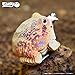 Eugy Desert Spadefoot Toad 3D Puzzle 34 Piece EcoFriendly Educational Toy Puzzle for Boys Girls Kids Ages 6 - Image 4