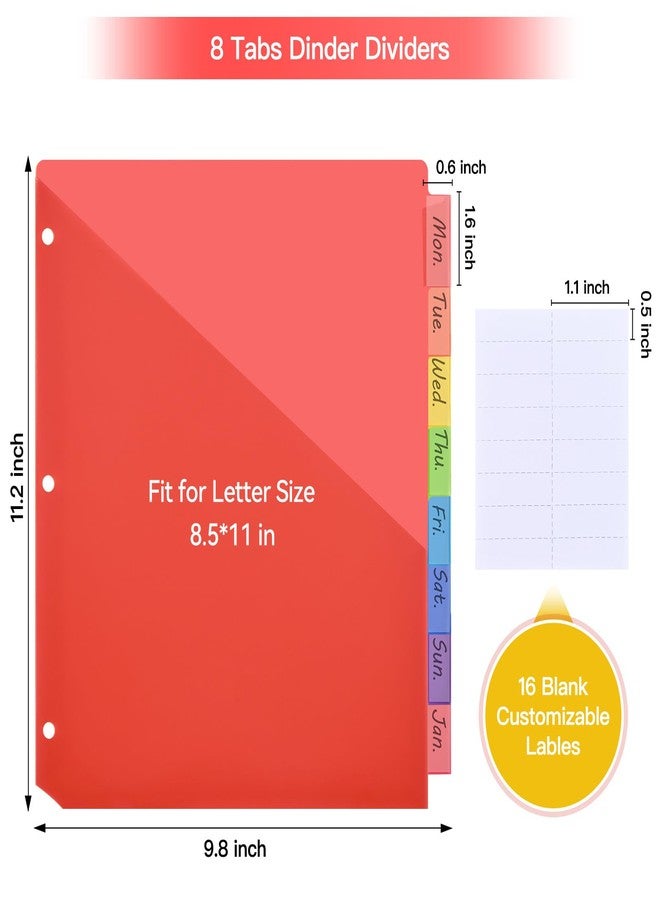 SUIN 8-Tab Binder Dividers with Double Pockets - Translucent Plastic Page Separators for 3 Ring Binder, Front & Back Storage, Durable Poly, Letter Size, Rainbow Colors (1-Pack) - Image 2