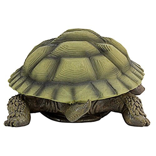 Design Toscano QM1887611 Gilbert the Box Turtle Garden Decor Animal Statue, 9 Inch, Full Color - Image 5