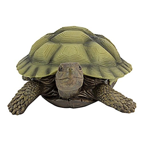 Design Toscano QM1887611 Gilbert the Box Turtle Garden Decor Animal Statue, 9 Inch, Full Color - Image 2