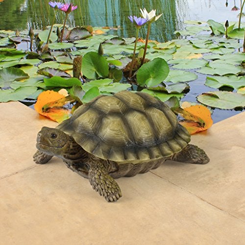 Design Toscano QM1887611 Gilbert the Box Turtle Garden Decor Animal Statue, 9 Inch, Full Color - Image 3