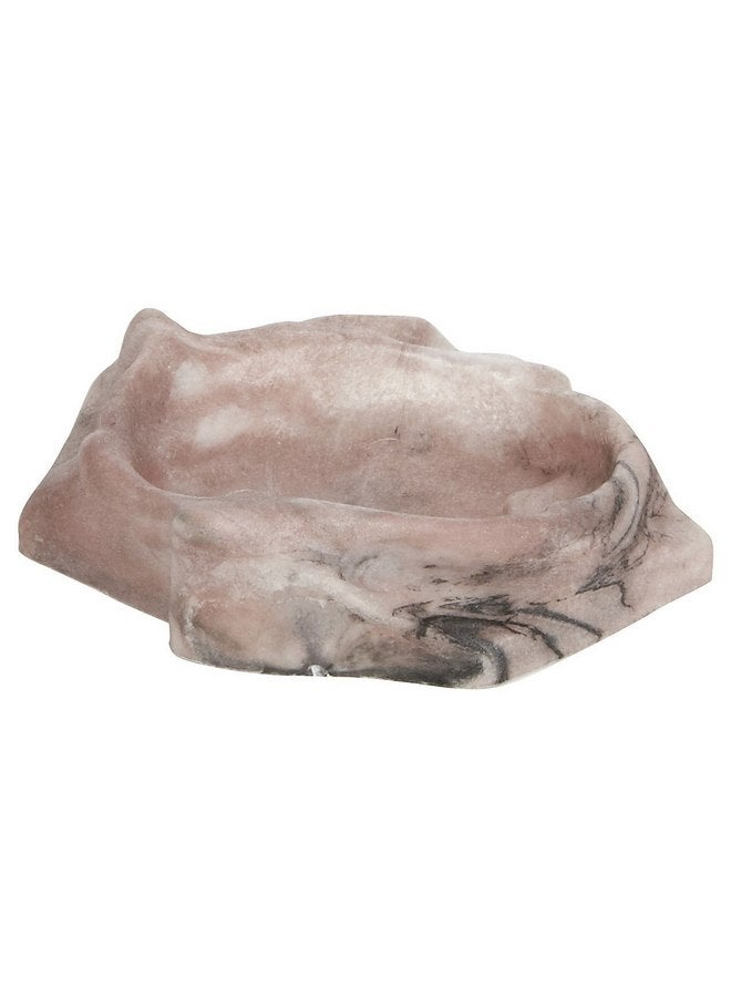 زوو ميد طبق ماء للزواحف من Zoo Med Repti Rock للأسماك، مقاس صغير جدًا، أسود - Image 2