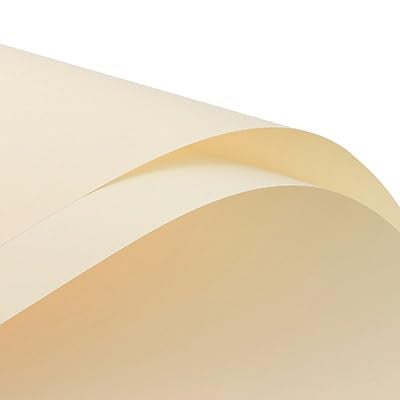 LeZakaa 20 ورقة من ورق تغليف الزهور من LeZakaa - ورق باقة زهور قابل للعكس مقاوم للماء - تصميم أصفر كريمي لعيد الحب وحفلات عيد الأم وأعياد الميلاد وحفلات الزفاف وحفلات استقبال المولود الجديد - Image 2