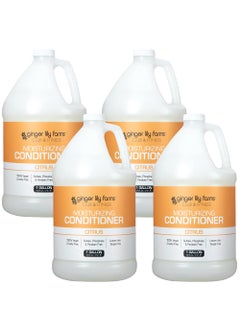 Ginger Lily Farms Club  Fitness Citrus Moisturizing Conditioner 100 Vegan Paraben Sulfate Phosphate Gluten  CrueltyFree 1 Gallon Pack of 4