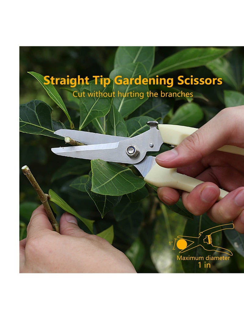 Y&D - Garden Scissors, 2 Pack Pruning Shears for Gardening, Set, 1 Bypass Pruner+1 Straight Blade Cutting Flowers, Trimming Plants, Bonsai, Fruits Picking - Image 1