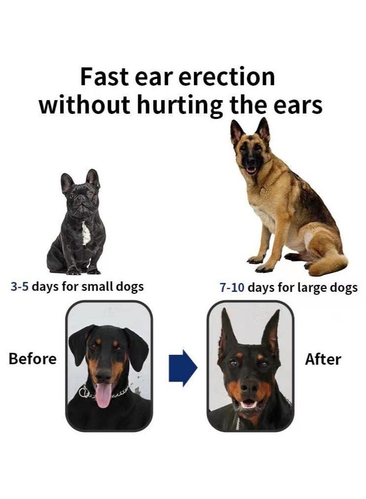 SOLARAE Dog Ear Stand Sticker Up Support Tool, Dog Ear Fixed Correction Vertical Holder for Doberman,New, 7 * 3.5 cm - Image 3