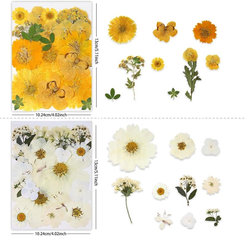 Buzidao Dried Pressed Flowers, 80Pcs Real Natural Pressed Flowers for Resin Nail Art Scrapbooking Candle Jewelry Making Real Bulk Dried Pressed Flowers Resin DIY Crafts Supplies Kit (Multi Color-5) - Image 3