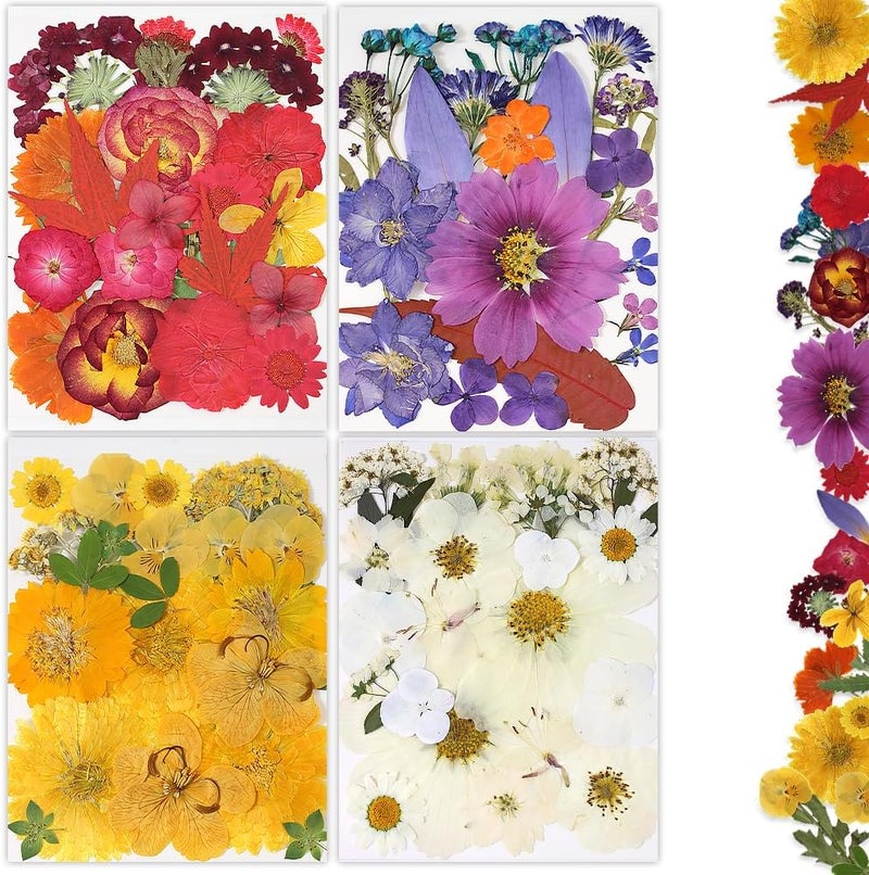 Buzidao Dried Pressed Flowers, 80Pcs Real Natural Pressed Flowers for Resin Nail Art Scrapbooking Candle Jewelry Making Real Bulk Dried Pressed Flowers Resin DIY Crafts Supplies Kit (Multi Color-5) - Image 1