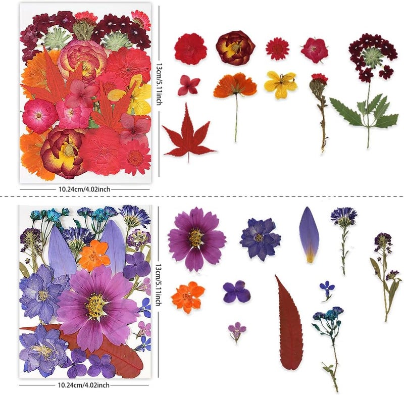 Buzidao Dried Pressed Flowers, 80Pcs Real Natural Pressed Flowers for Resin Nail Art Scrapbooking Candle Jewelry Making Real Bulk Dried Pressed Flowers Resin DIY Crafts Supplies Kit (Multi Color-5) - Image 2