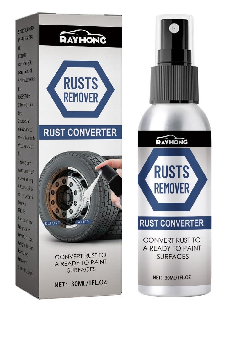 RAYHONG 30 Ml Rust Converter Spray For Car  - Image 1