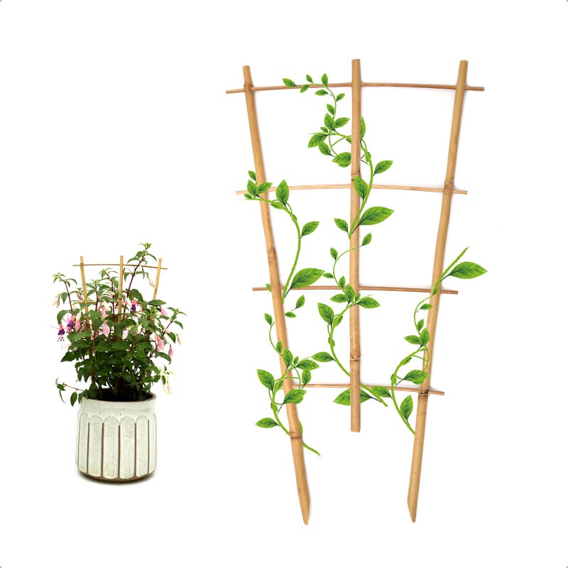 COLOtime 3Pack Bamboo Trellis 16 Inch Fan Shaped Small Plant Trellis for Indoor Potted Plants Climbing Monstera Orchid Vine Hoya Houseplant - Image 2