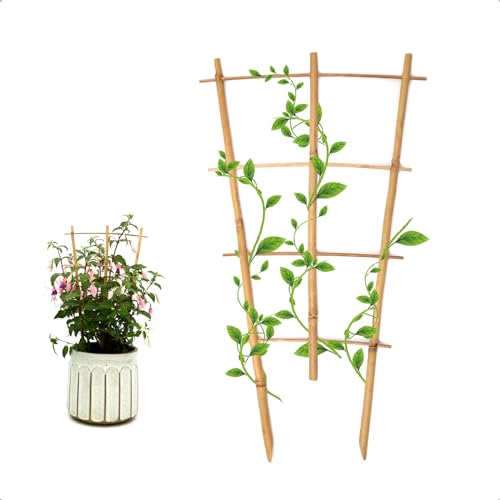 COLOtime 3Pack Bamboo Trellis 16 Inch Fan Shaped Small Plant Trellis for Indoor Potted Plants Climbing Monstera Orchid Vine Hoya Houseplant - Image 1