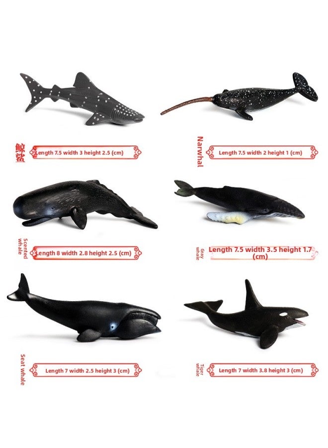 نموذج لعبة الحيوانات البرية للأطفال، محاكاة صغيرة للحيوانات الصغيرة، الدواجن، النمر، الأسد، الزرافة، القرش، الحشرات - اللون: محيط صغير 6 مجموعة (حجم الملاحظة) M6028 أسود - Image 1