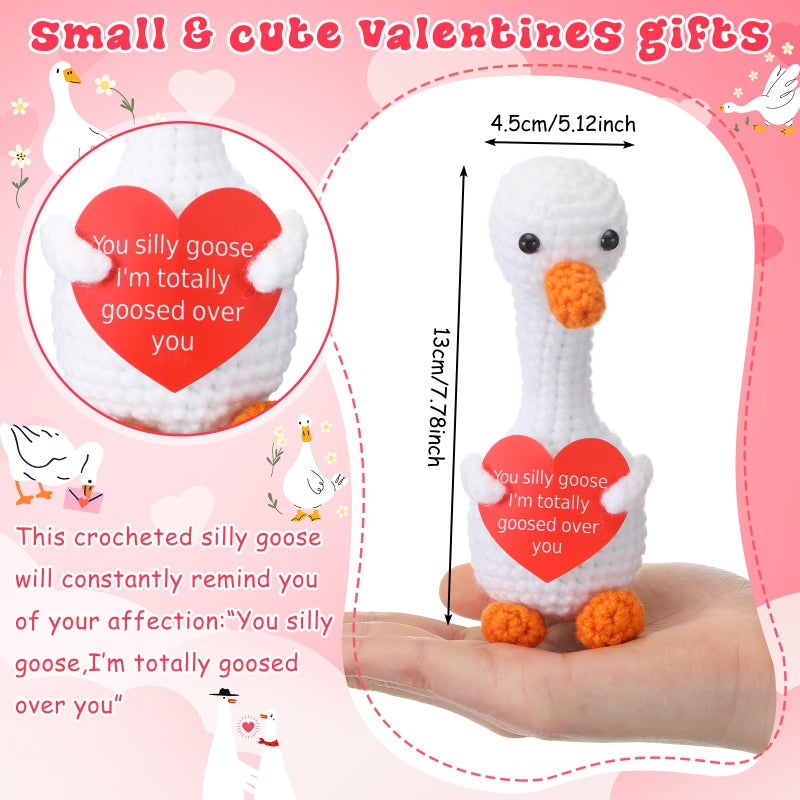 Jenaai Funny Crochet Gift for Boyfriend Girlfriend Him Her Wife Husband I Love You Gifts Anniversary and Birthday Ideas, Handmade Positive Silly Goose Crochet for Couples Small Romantic Decor - Image 2