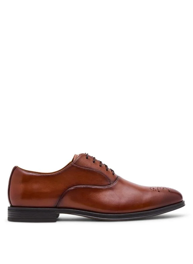ستيف مادن Saxxon Tan Men's Oxfords Shoes