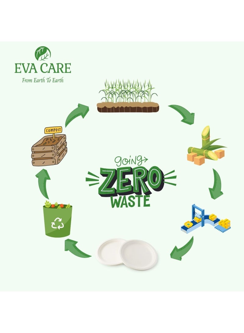 Eva Care 250 ML DRINK CUP DISPOSABLE (BIODEGRADABLE, PACK OF 50) - Image 2