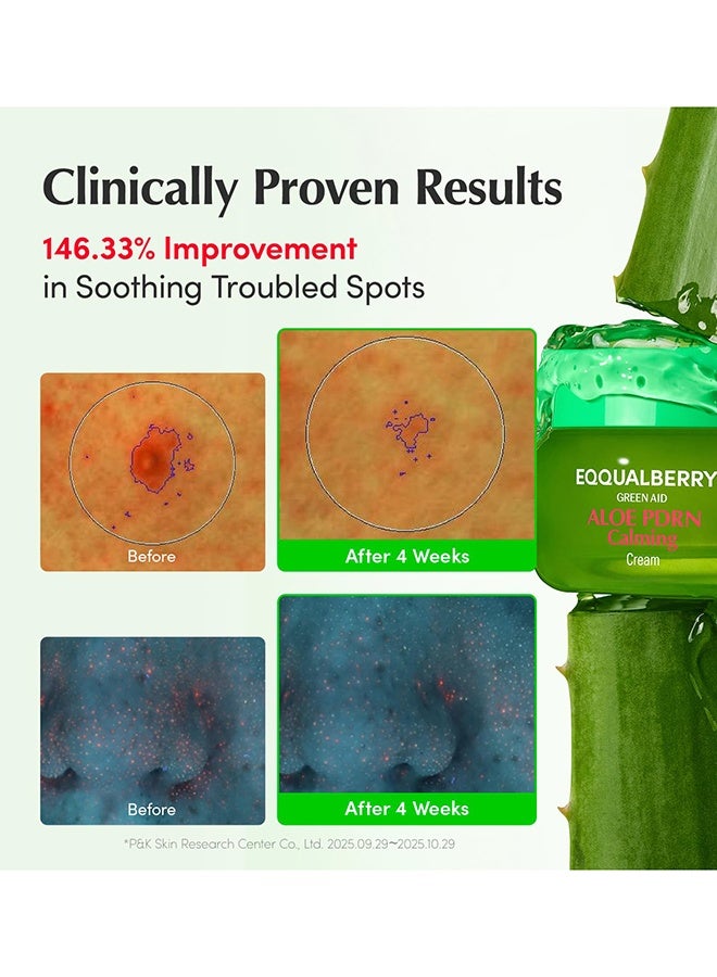 Eqqualberry Aloe Pdrn Calming Cream 50Ml - Image 3