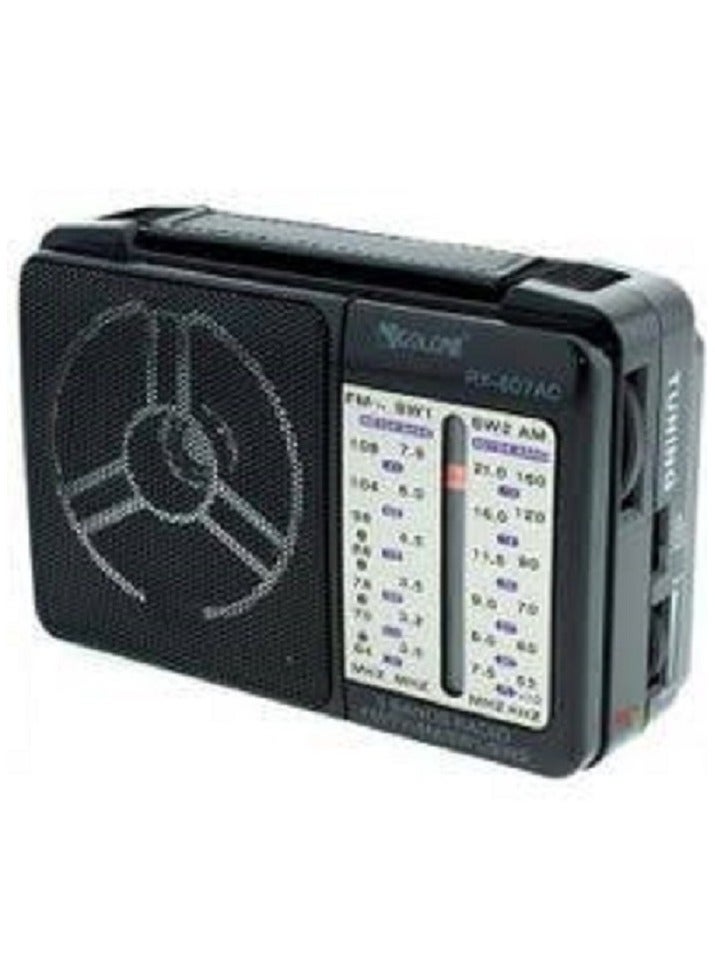 Golon Radio AM/FM/SW1/SW2(RX-607AC) - Image 3