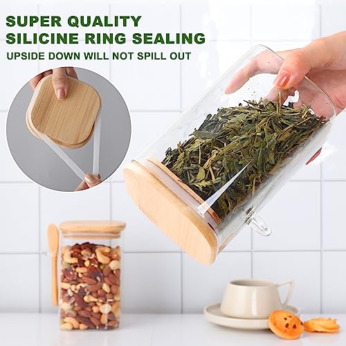 TIPGO Flour and Sugar Containers - 34 oz Glass Jar with Bamboo Lid and Spoon, Sugar Holder and Canister for Countertop, Glass Containers for Coffee Beans, Tea, Flour, Nuts, Candy and Cookie (Set of 2) - Image 2