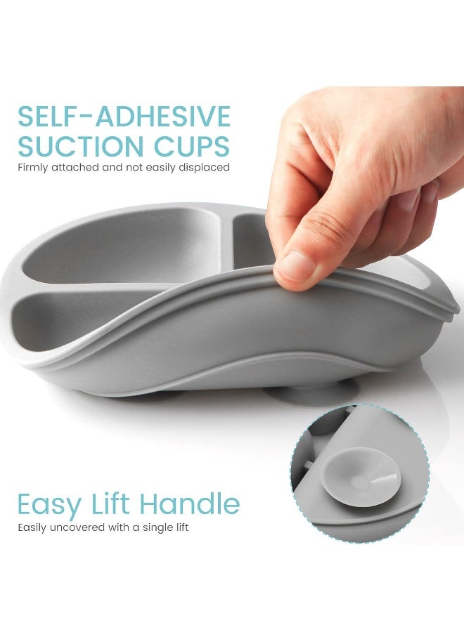 سيلي كونج Silikong Divided Silicone Suction Plates for Toddlers - Image 4
