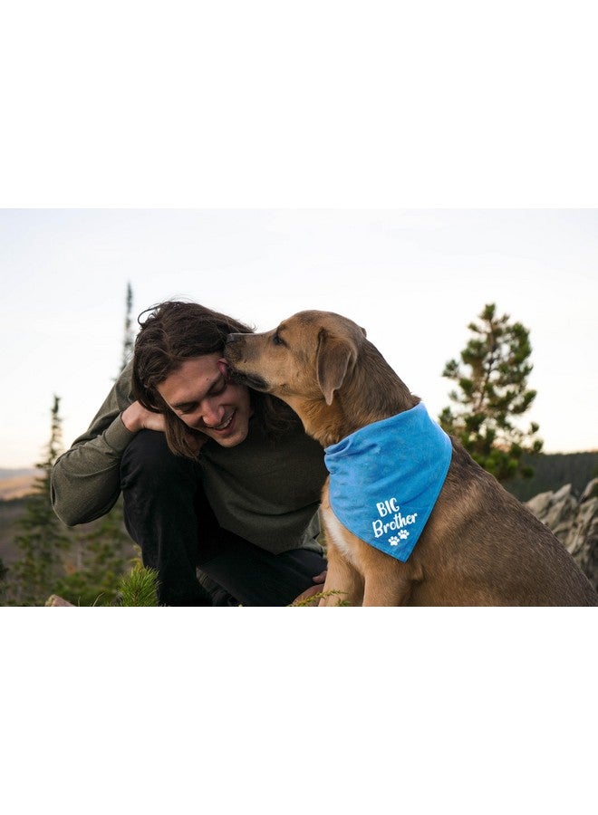 وشاح عيد ميلاد الأخ الأكبر للكلاب، بوليستر، 80 × 40 - Image 2