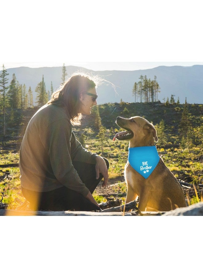 وشاح عيد ميلاد الأخ الأكبر للكلاب، بوليستر، 80 × 40 - Image 3