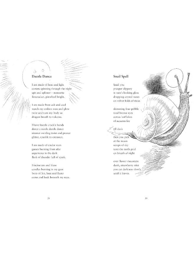The Big Amazing Poetry Book: 52 Weeks of Poetry From 52 Brilliant Poets  - Image 2